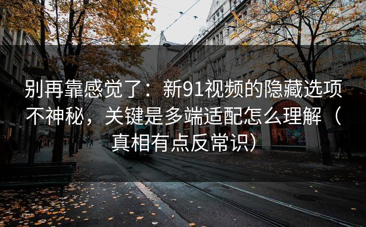 别再靠感觉了：新91视频的隐藏选项不神秘，关键是多端适配怎么理解（真相有点反常识）