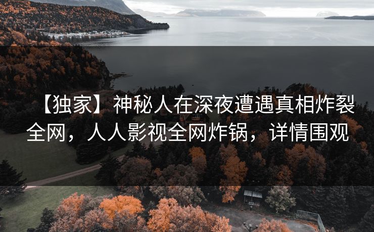 【独家】神秘人在深夜遭遇真相炸裂全网，人人影视全网炸锅，详情围观